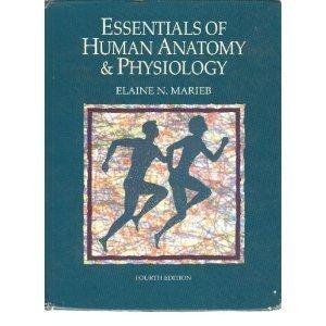 Essentials of Human Anatomy and Physiology - Retail Maharaj
