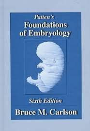 Foundations of Embryology - Retail Maharaj