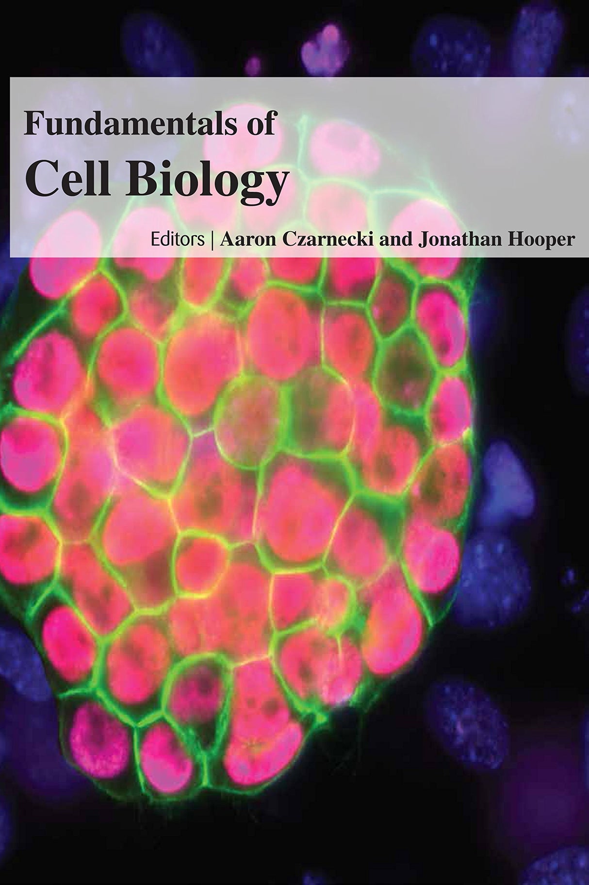 Fundamentals Of Cell Biology - Retail Maharaj