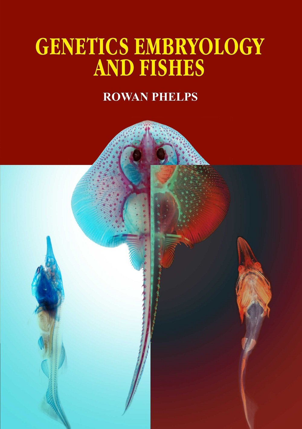 Genetics Embryology and Fishes by Rowan Phelps - Retail Maharaj