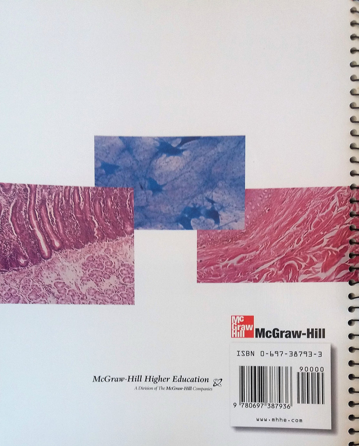 Human Anatomy - Retail Maharaj