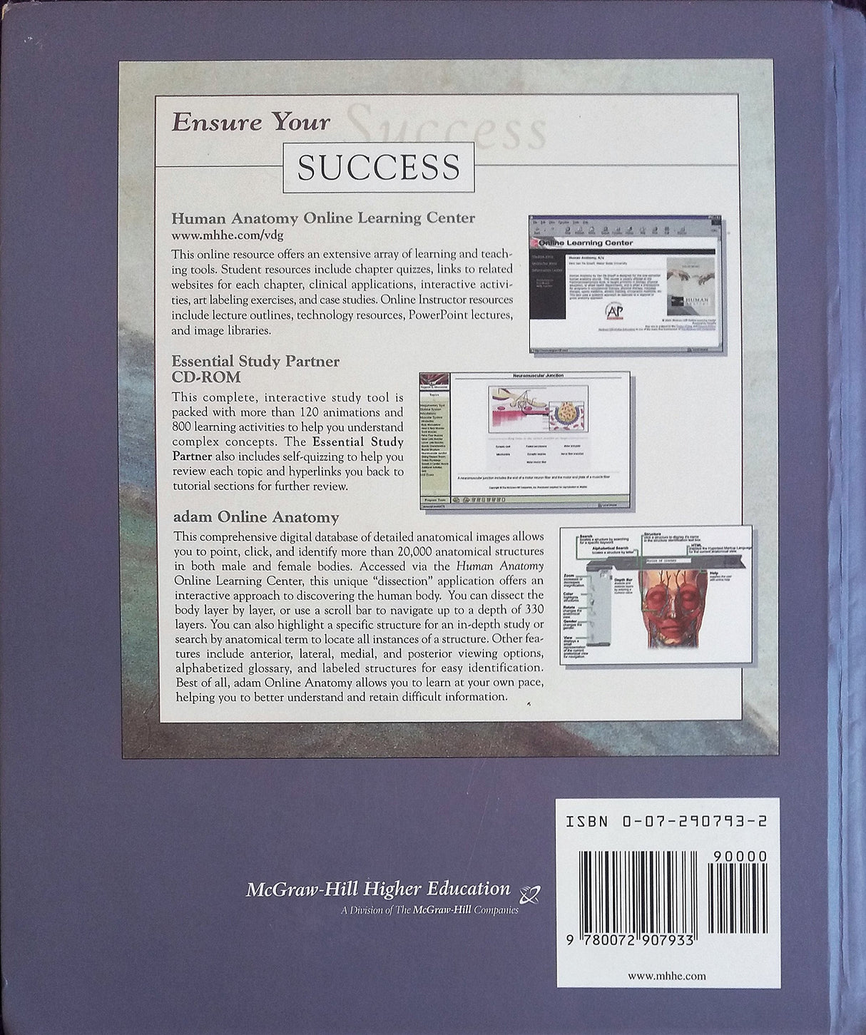 Human Anatomy - Retail Maharaj