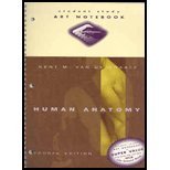 Notebook (Human Anatomy) - Retail Maharaj