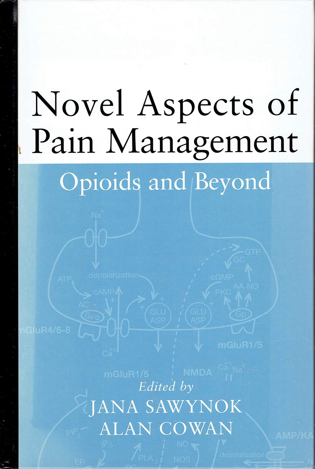 Novel Aspects of Pain Management: Opioids and Beyond - Retail Maharaj