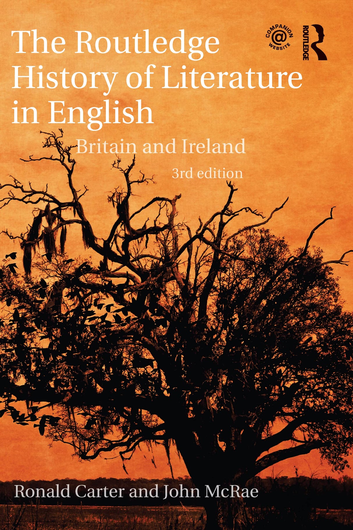 The Routledge History of Literature in English: Britain and Ireland - Retail Maharaj