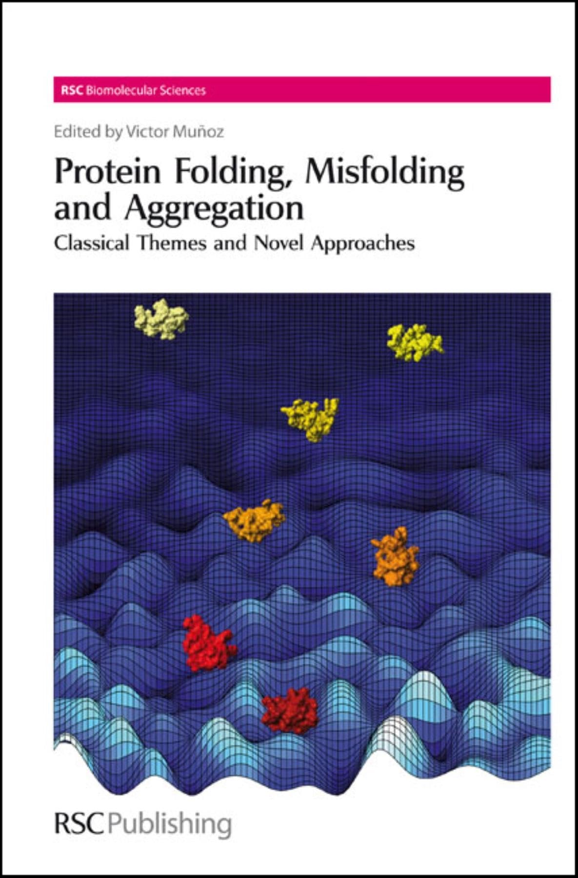 Protein Folding, Misfolding and Aggregation: Classical Themes and Novel Approaches: Volume 13 (RSC Biomolecular Sciences) - Retail Maharaj