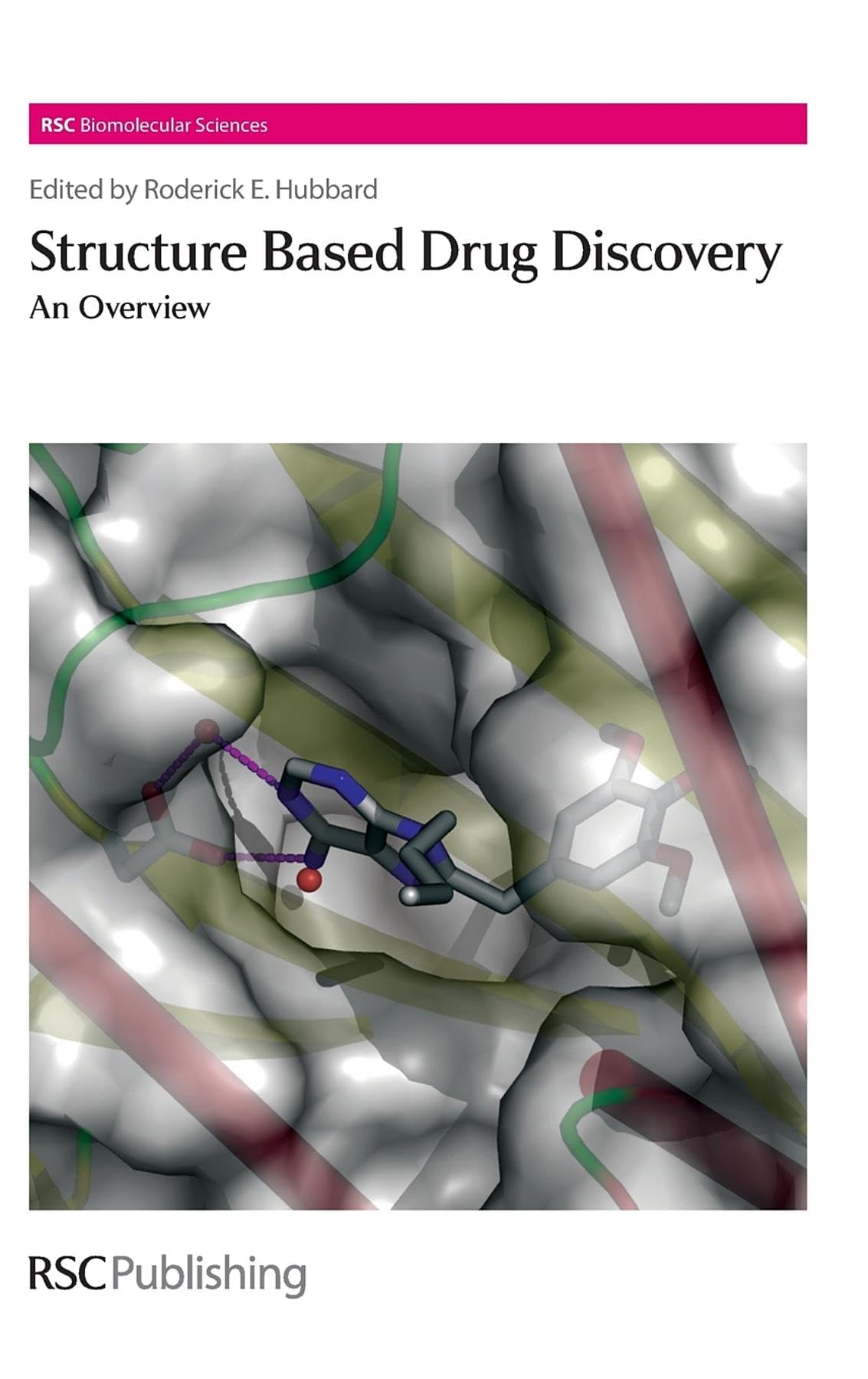 Structure-Based Drug Discovery: An Overview: Volume 3 (RSC Biomolecular Sciences) - Retail Maharaj