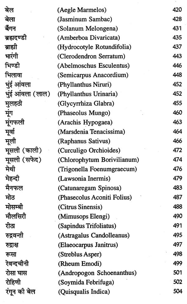 देहाती जड़ी - बूटियां (आयुर्वेद, यूनानी व हकीमी चिकित्सा)- Rustic Herbs (Ayurveda, Unani and Hakimi Medicine) - Retail Maharaj