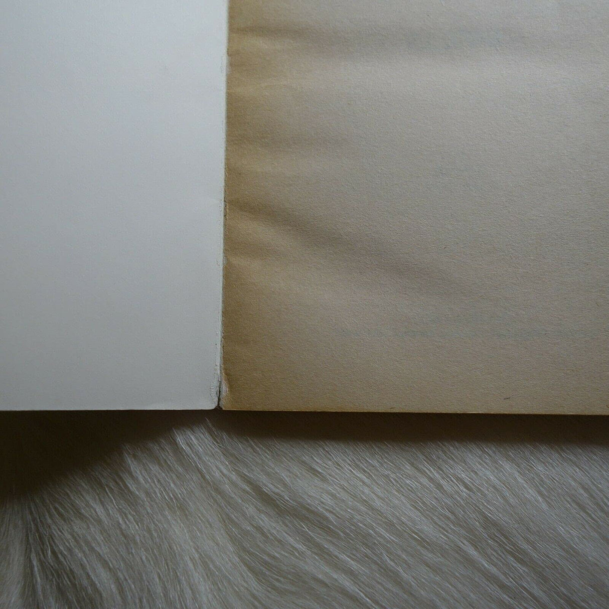 GB#05 THE CURSE OF THE MUMMYS TOMB - Retail Maharaj