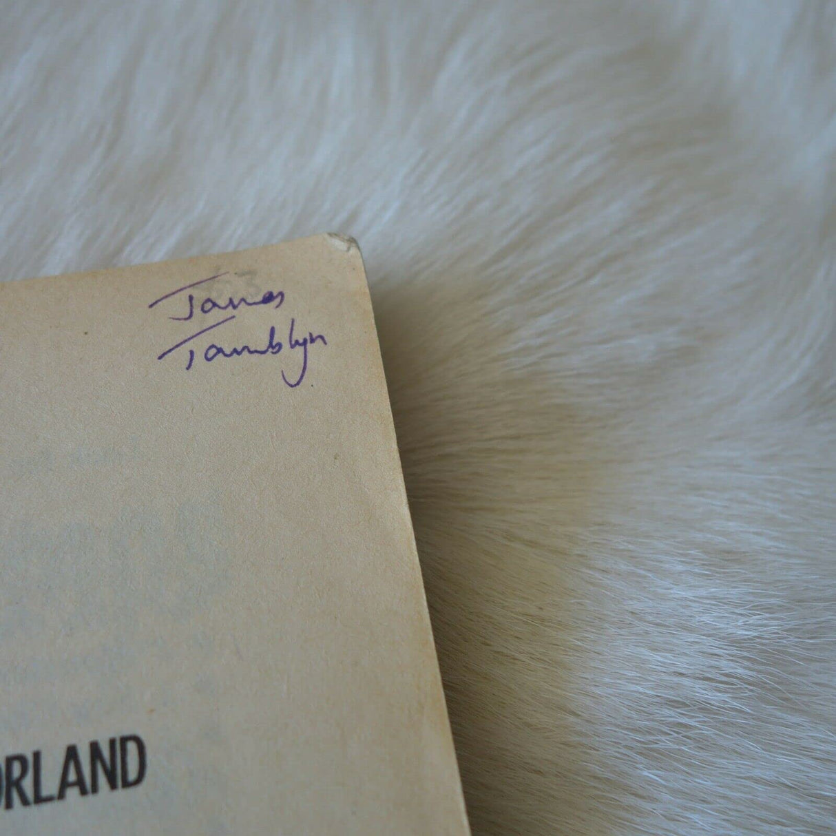 GB #16 ONE DAY AT HORRORLAND - Retail Maharaj