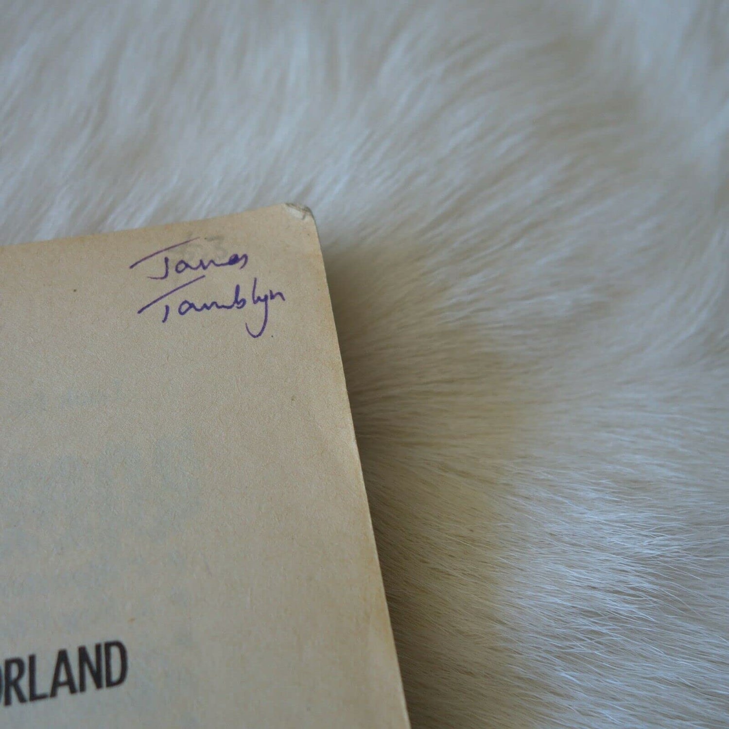 GB #16 ONE DAY AT HORRORLAND - Retail Maharaj