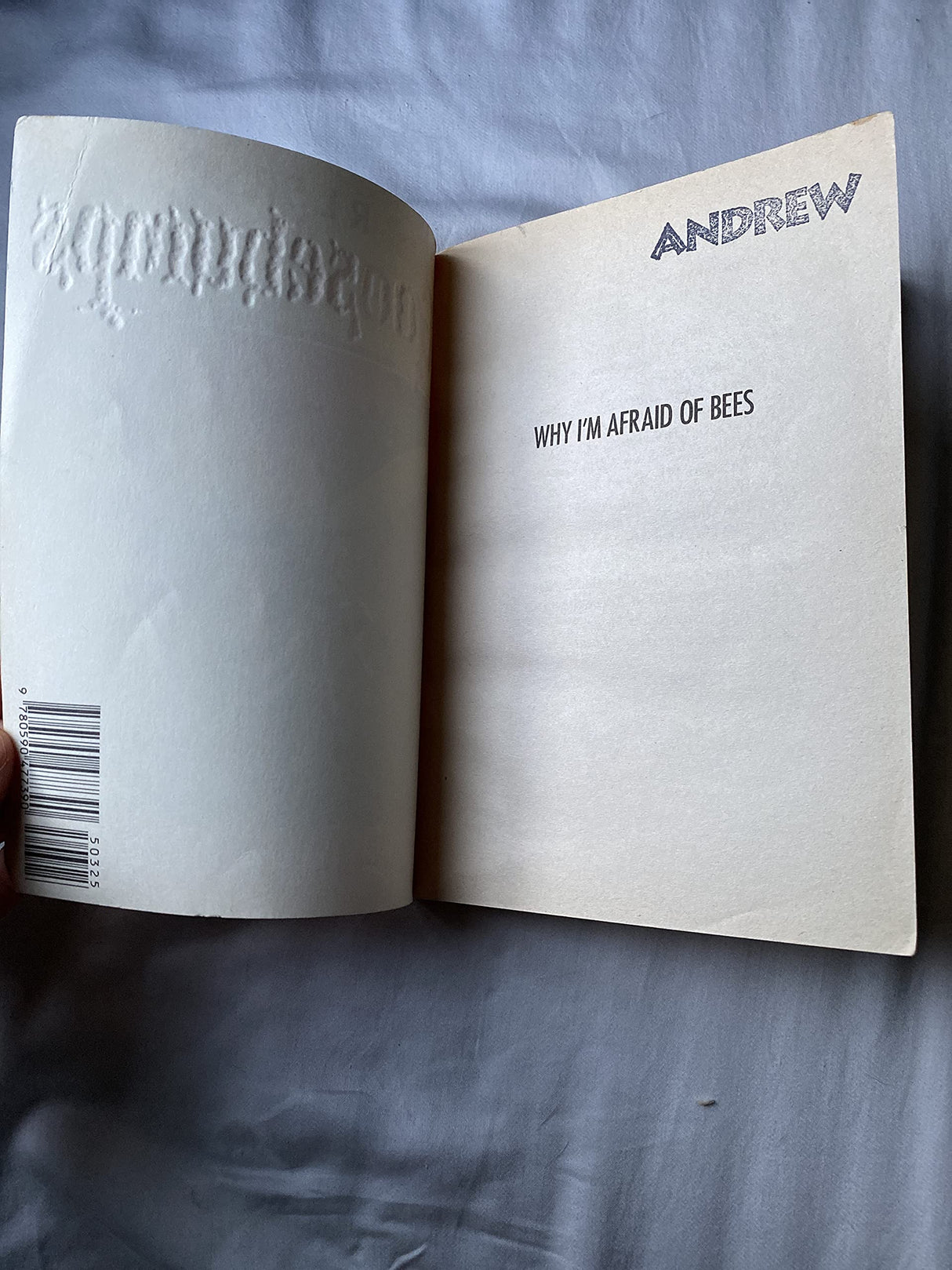 GB #17 WHY I M AFRAID OF BEES - Retail Maharaj