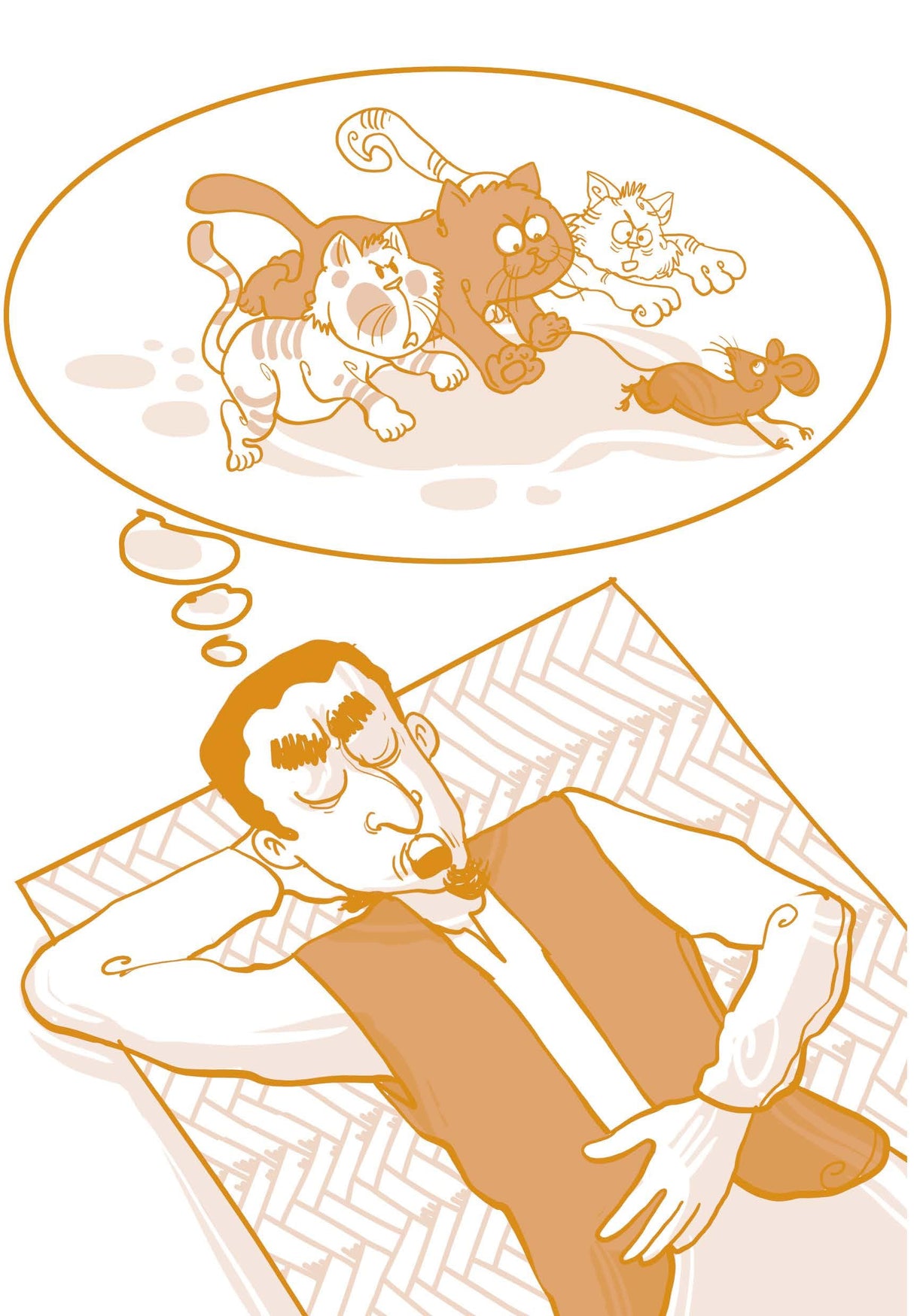 COMIC CAPERS OF SHEIKH CHILLI - Retail Maharaj