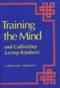 Training the Mind and Cultivating Loving-Kindness - Retail Maharaj