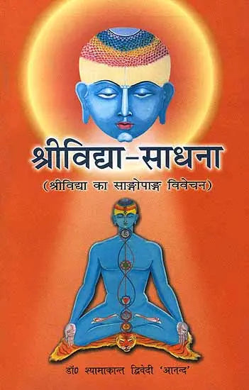 श्रीविद्या साधना Sri Vidya Sadhana (In Hindi) - Retail Maharaj