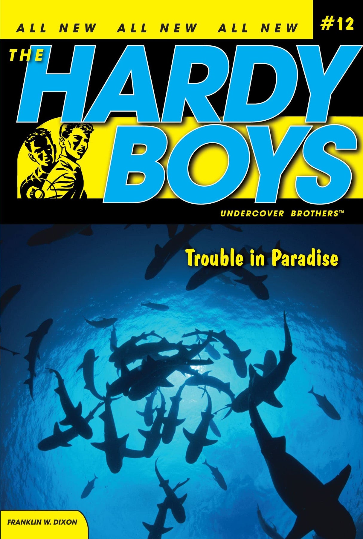 HARDY BOYS 12: TROUBLE IN PARADISE - Retail Maharaj