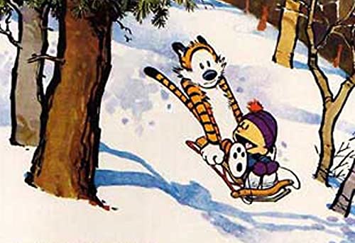 CALVIN & HOBBES: AUTHORITATIVE - Retail Maharaj