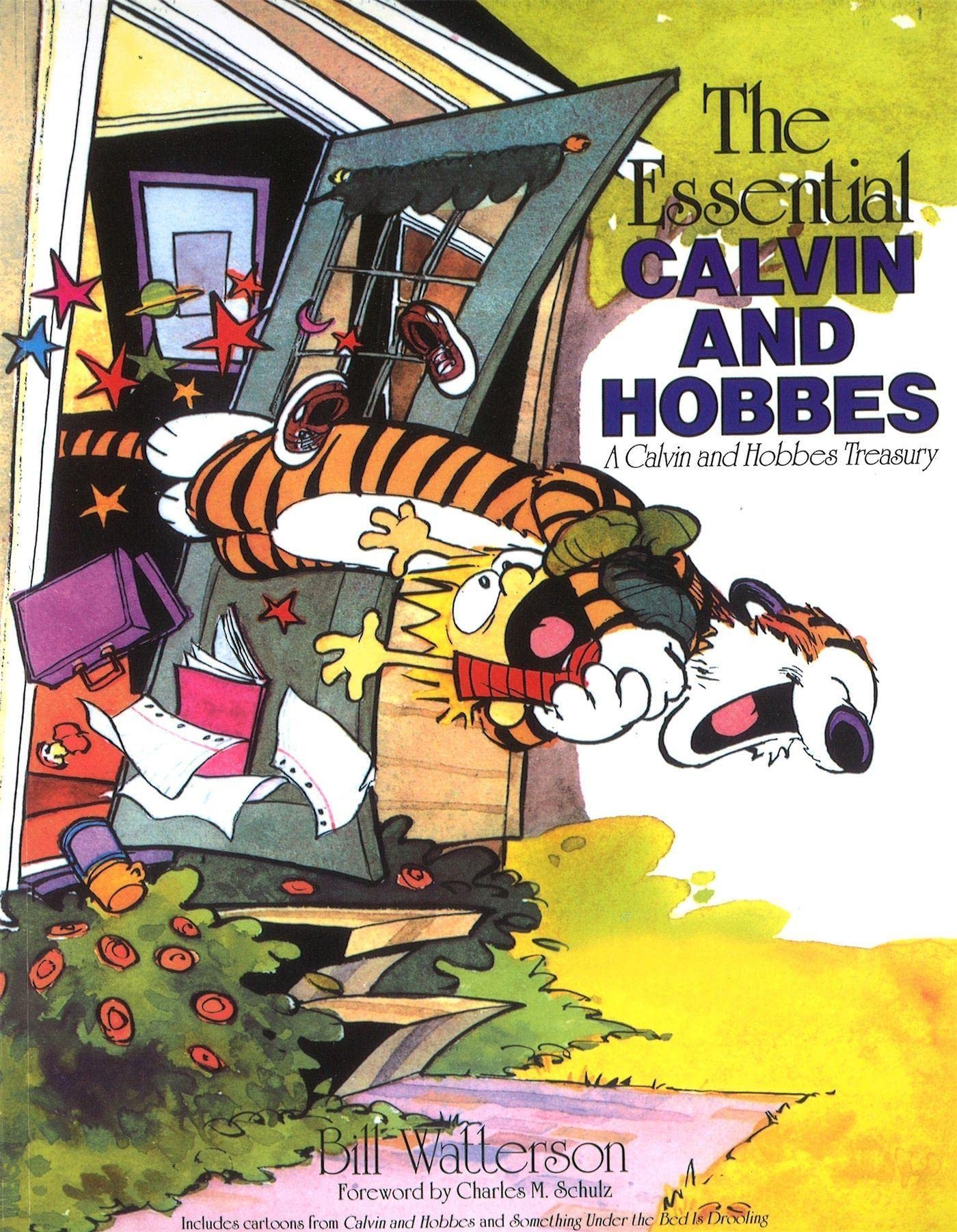 CALVIN & HOBBES: ESSENTIAL - Retail Maharaj