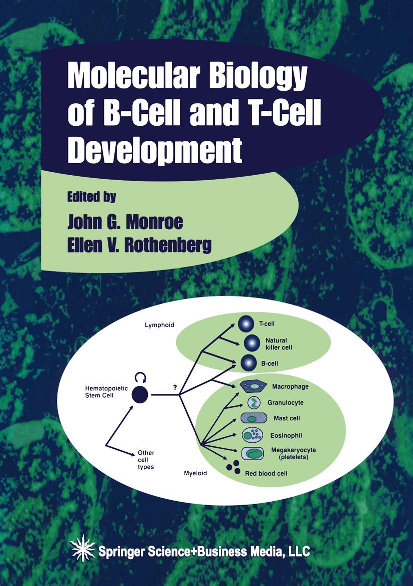 MOLECULAR BIOLOGY OF B-CELL AND T-CELL DEVELOPMENT (Contemporary Immunology) - Retail Maharaj