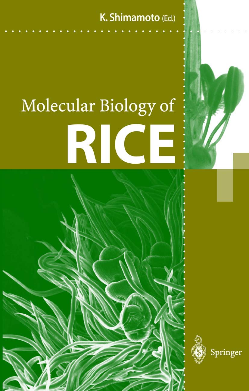 Molecular Biology of Rice - Retail Maharaj