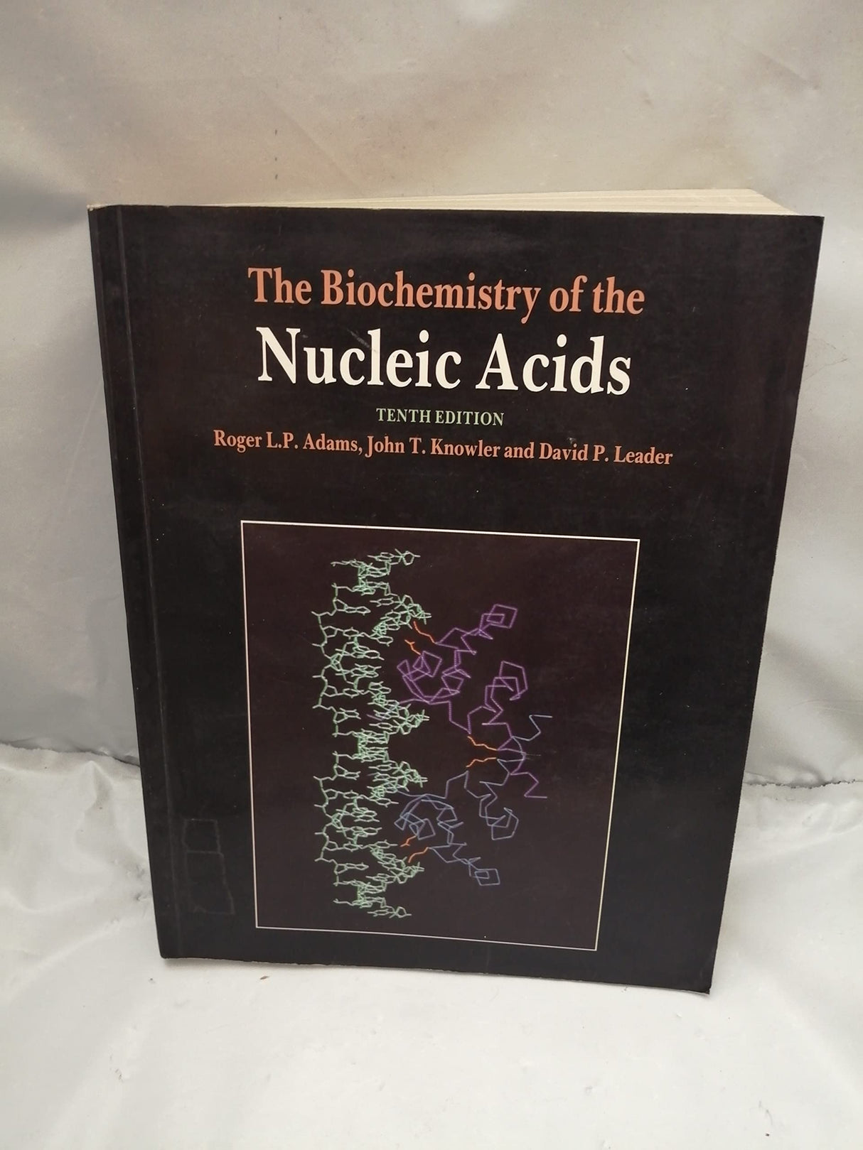 The Biochemistry of the Nucleic Acids - Retail Maharaj