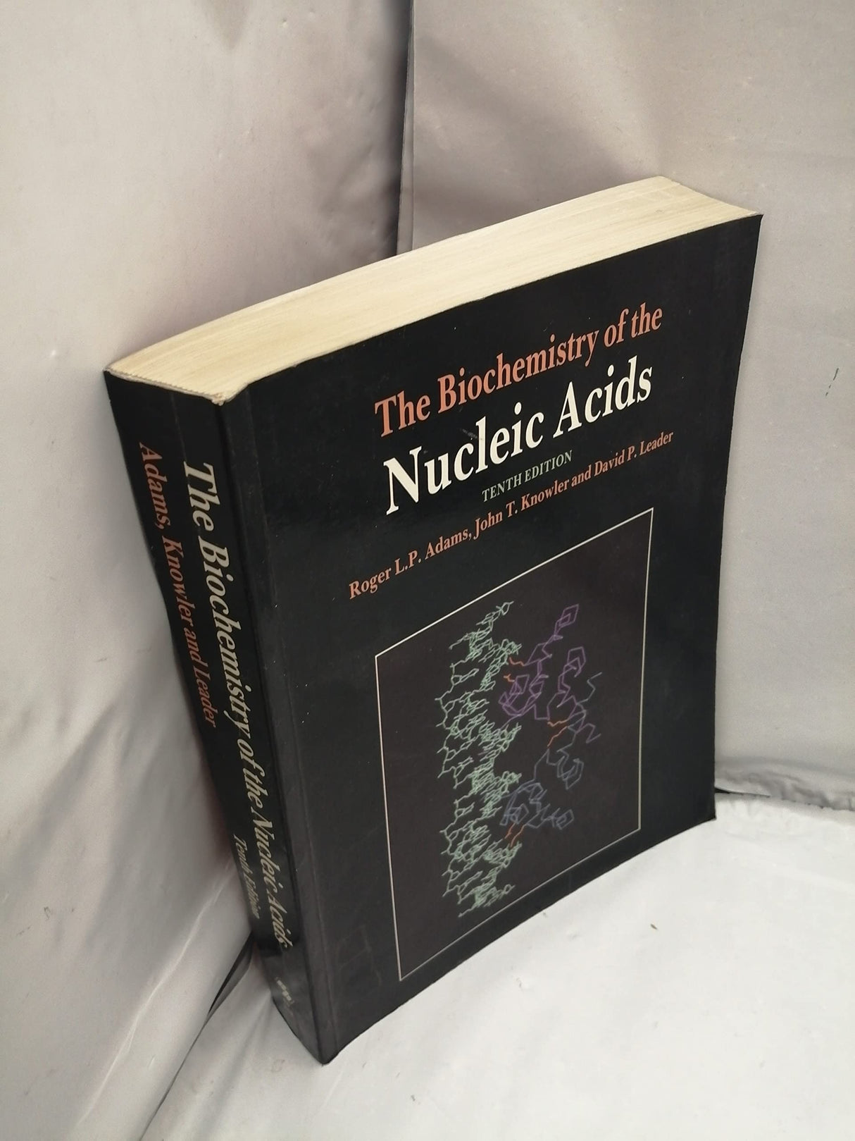 The Biochemistry of the Nucleic Acids - Retail Maharaj