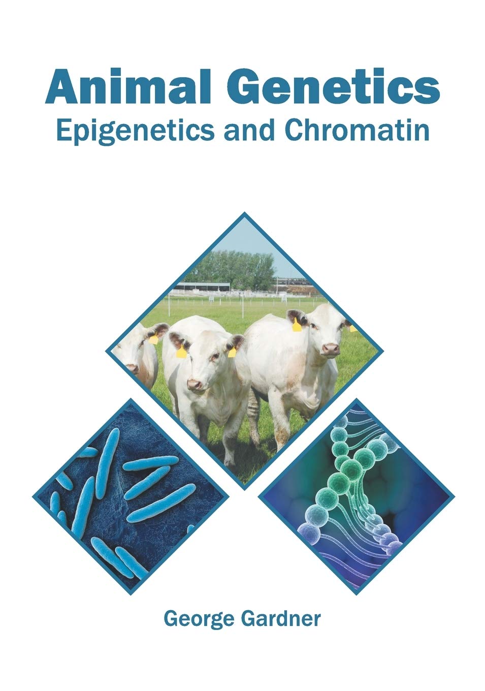 Animal Genetics: Epigenetics and Chromatin - Retail Maharaj