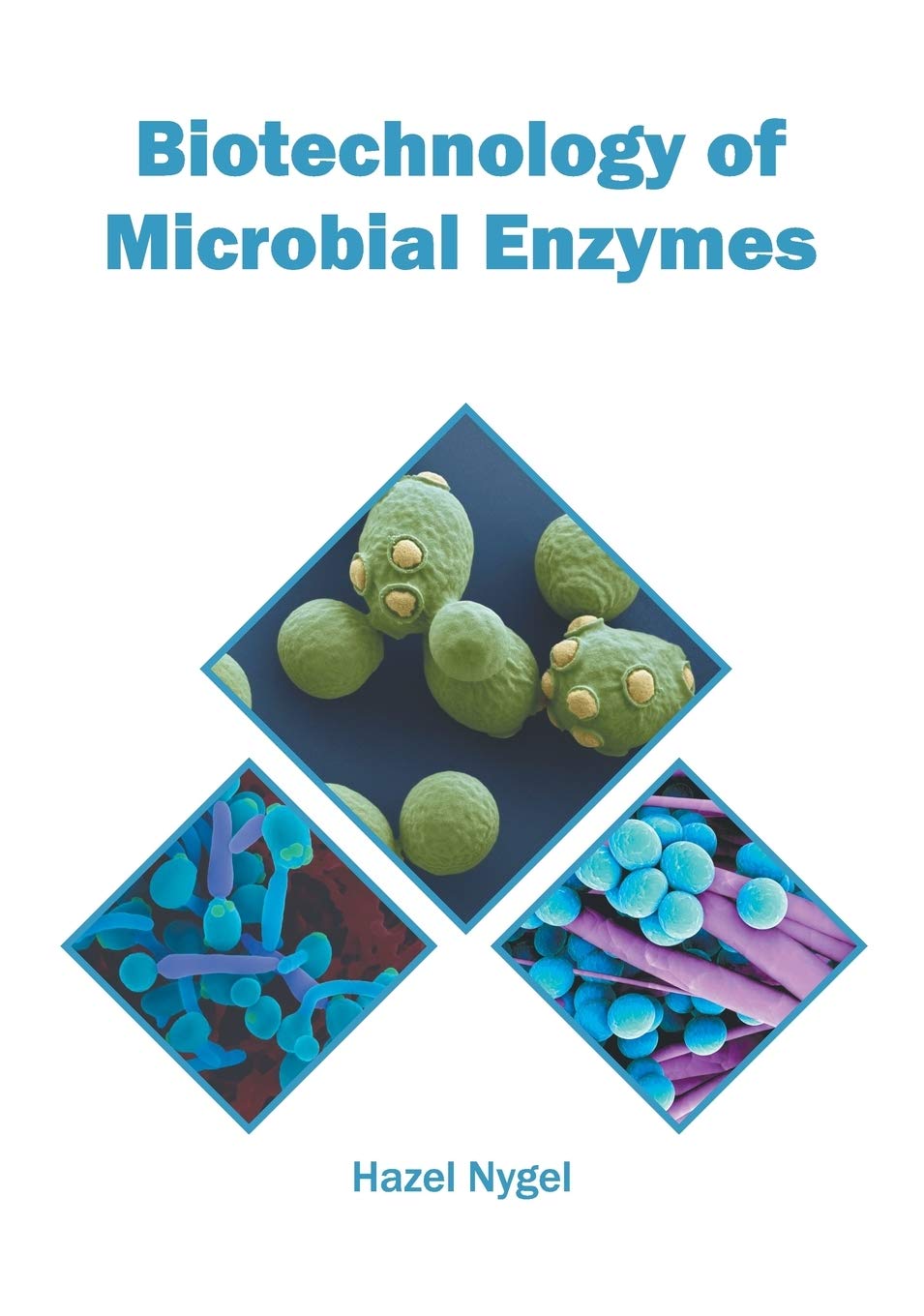 Biotechnology of Microbial Enzymes - Retail Maharaj