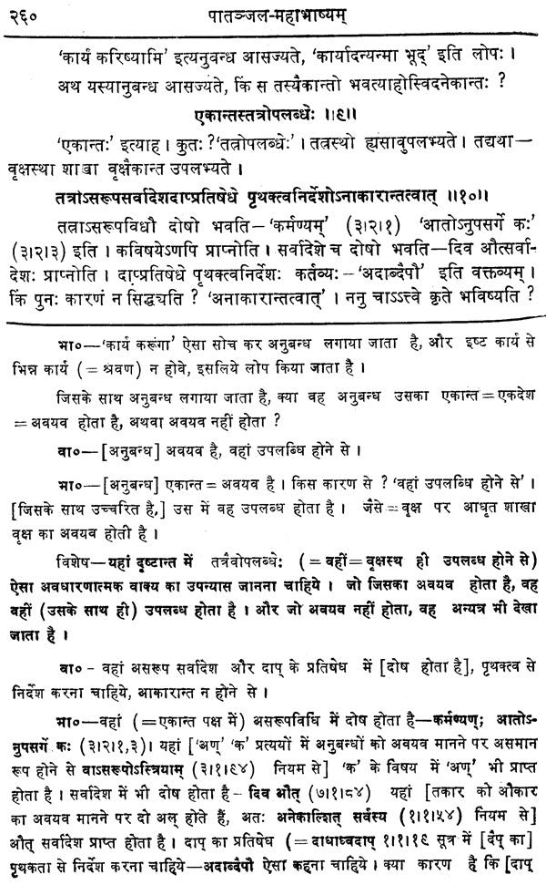 Mahabhashya With Explanation In Hindi - Retail Maharaj