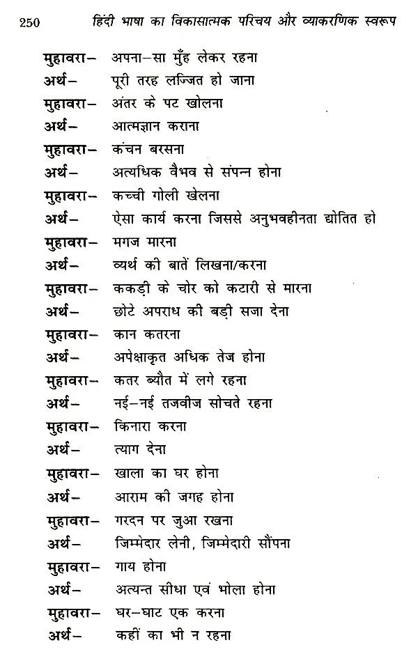 हिंदी भाषा का विकासात्मक परिचय और व्याकरणिक स्वरूप- Developmental Introduction and Grammatical Structure of Hindi language - Retail Maharaj
