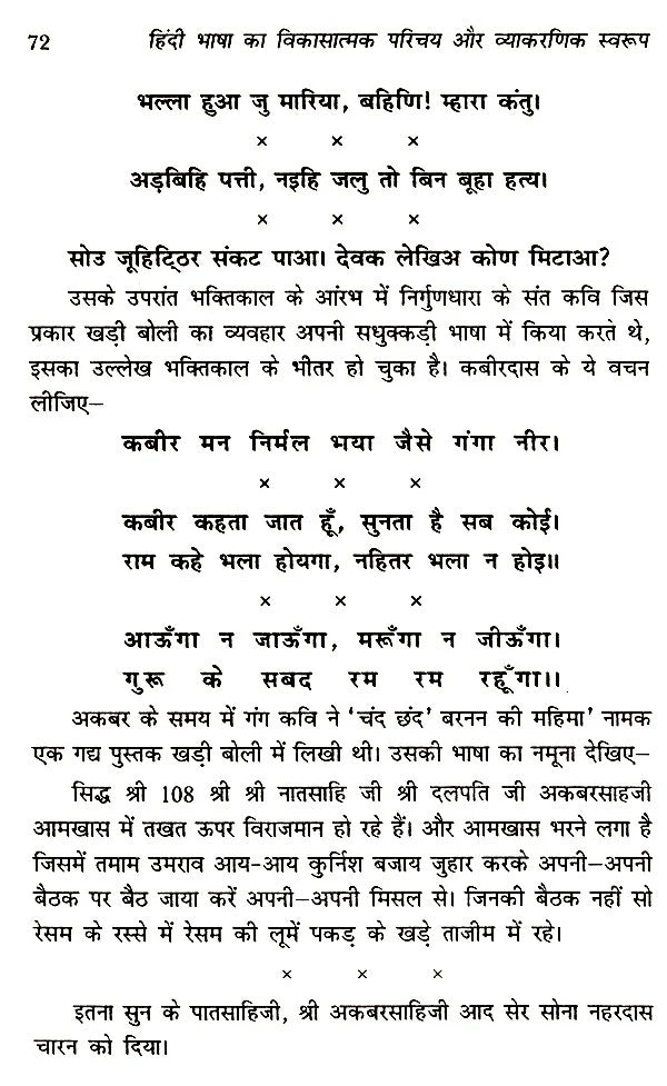 हिंदी भाषा का विकासात्मक परिचय और व्याकरणिक स्वरूप- Developmental Introduction and Grammatical Structure of Hindi language - Retail Maharaj