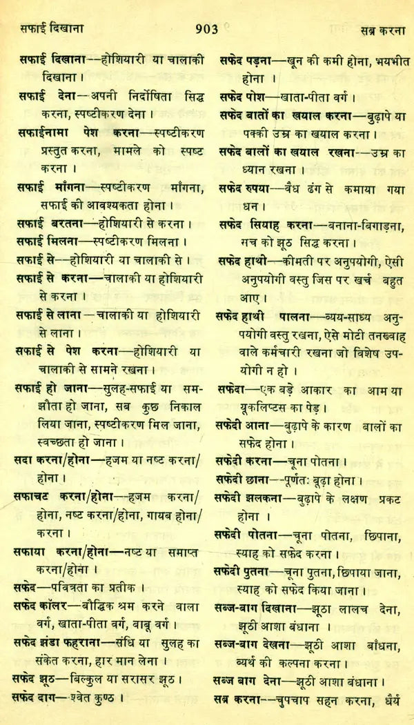 मानक हिन्दी मुहावरा कोश- Standard Dictionary of Hindi Idioms: Set of 2 Volumes (An Old and Rare Book) - Retail Maharaj
