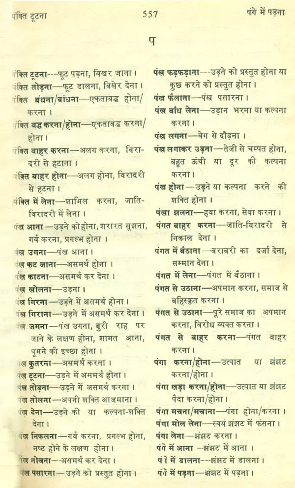 मानक हिन्दी मुहावरा कोश- Standard Dictionary of Hindi Idioms: Set of 2 Volumes (An Old and Rare Book) - Retail Maharaj