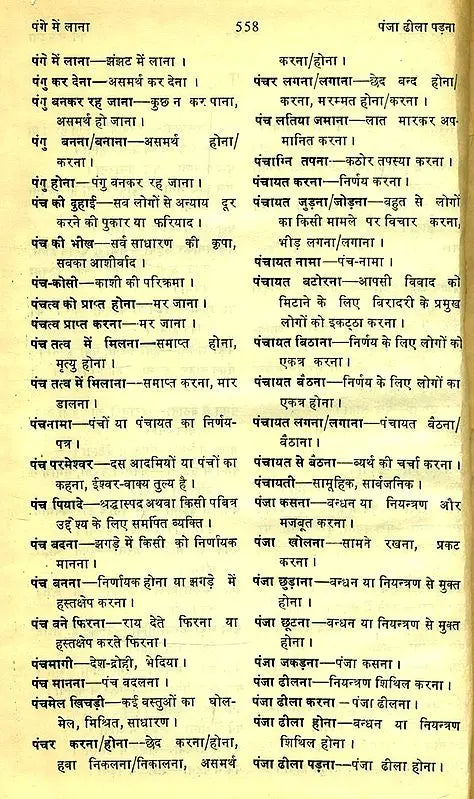 मानक हिन्दी मुहावरा कोश- Standard Dictionary of Hindi Idioms: Set of 2 Volumes (An Old and Rare Book) - Retail Maharaj