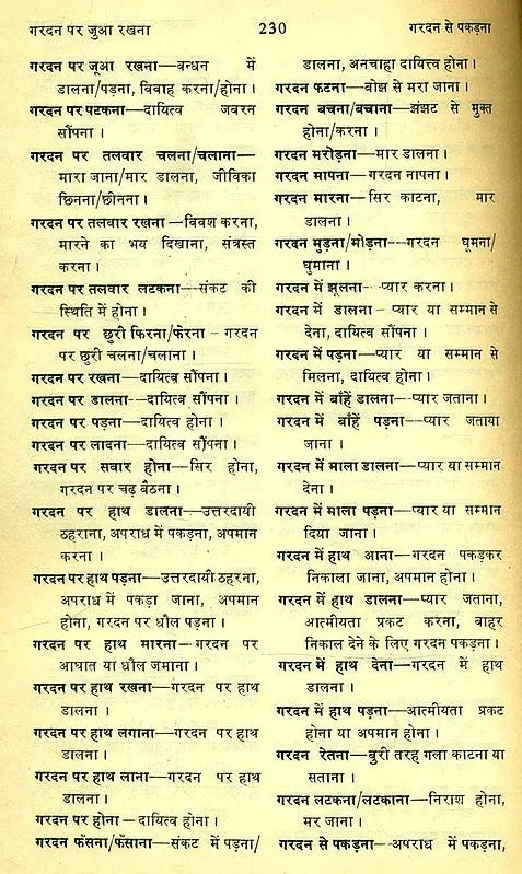 मानक हिन्दी मुहावरा कोश- Standard Dictionary of Hindi Idioms: Set of 2 Volumes (An Old and Rare Book) - Retail Maharaj