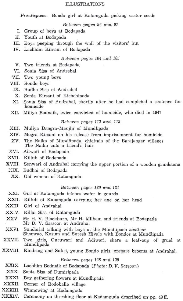 Bondo Highlander - Retail Maharaj