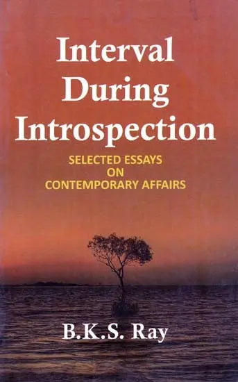 Interval During Introspection Selected Essays on Contemporary Affairs - Retail Maharaj