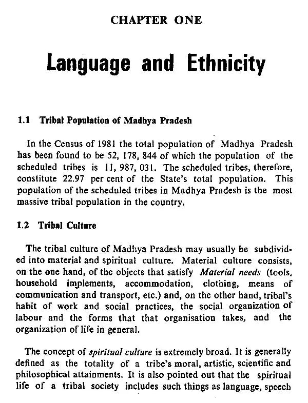 Language, Ethnicity and History (Dimensions in Anthropological Linguistics) - Retail Maharaj