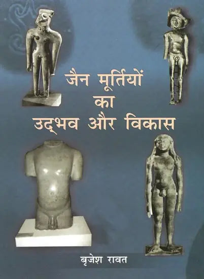 जैन मूर्तियों का उद्भव और विकास- Origin and Development of Jain Sculptures - Retail Maharaj