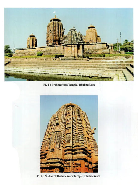 Temple Architecture of Orissa - Retail Maharaj