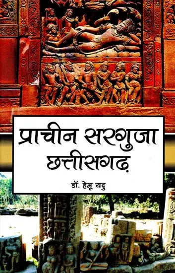 प्राचीन सरगुजा: छत्तीसगढ़- Ancient Surguja: Chhattisgarh - Retail Maharaj