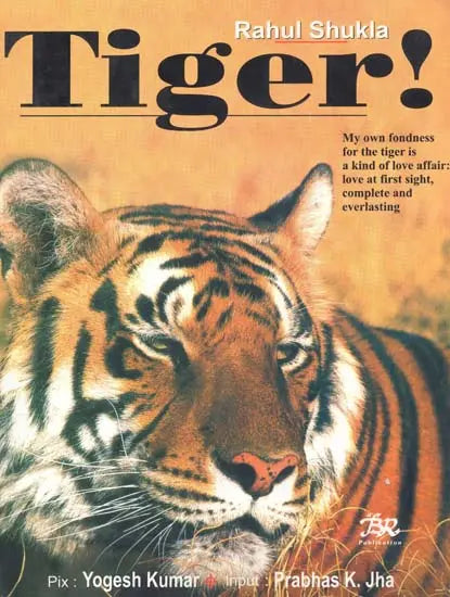 Tiger - Retail Maharaj