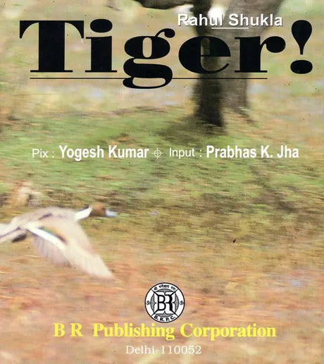 Tiger - Retail Maharaj