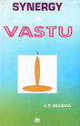 Synergy in Vastu - Retail Maharaj