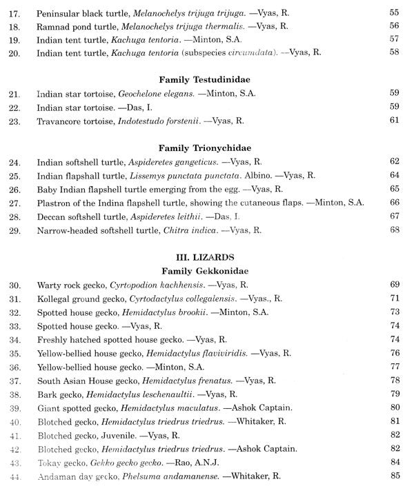 The Reptile Fauna of India - Retail Maharaj