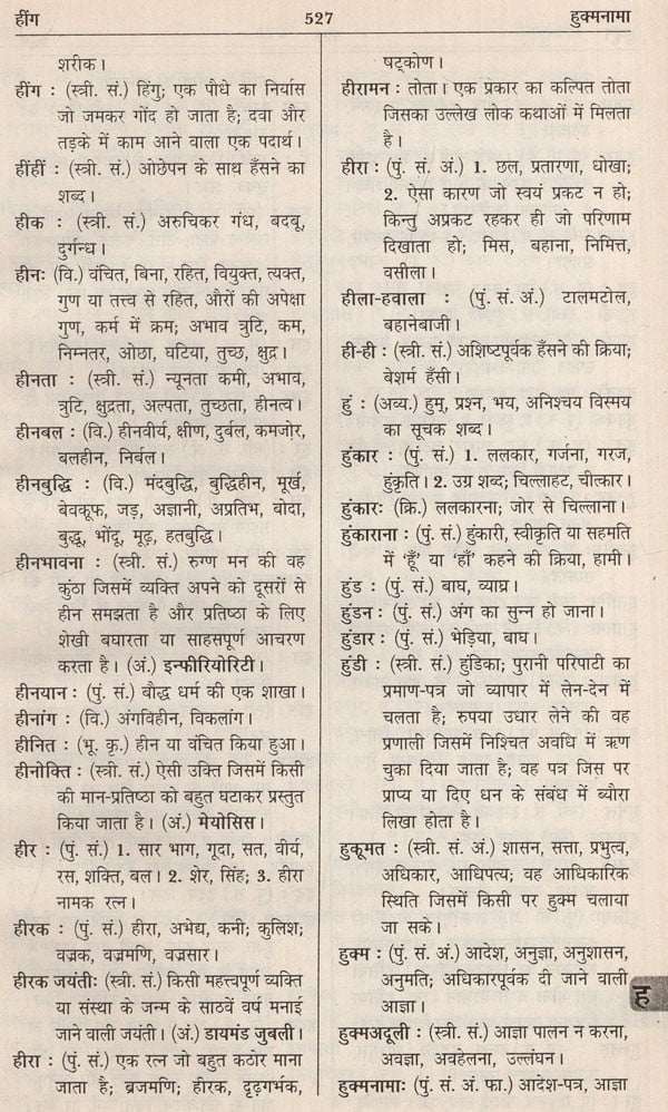 आधुनिक हिंदी शब्दकोश / Aadhunik Hindi Shabdkosh - Retail Maharaj