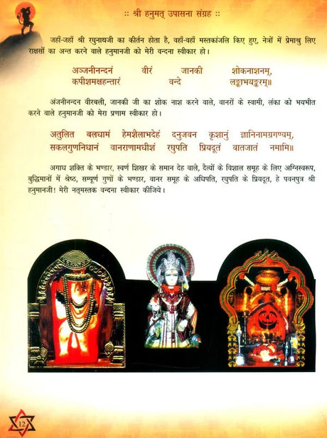 श्री हनुमत् उपासना संग्रह- Shri Hanumata Upasana Sangraha - Retail Maharaj