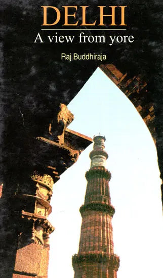 Delhi - A View of Yore - Retail Maharaj