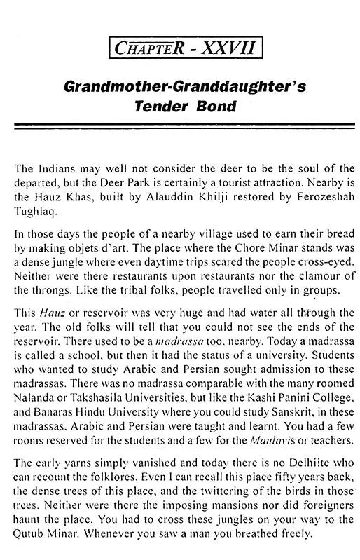 Delhi - A View of Yore - Retail Maharaj