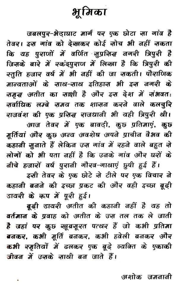 बूढ़ी डायरी: Budhi Diary (Novel) - Retail Maharaj